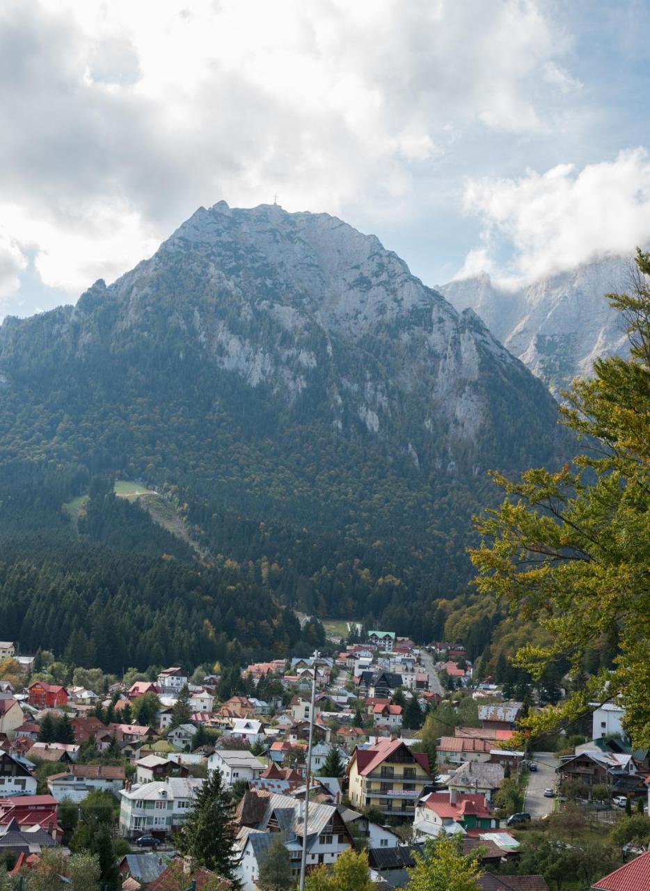 Vila Alegria Буштени Экстерьер фото